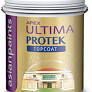 Asian Ultima Protek for Exterior Painting : ColourDrive
