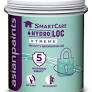 Asian Smartcare Hydroloc Xtreme for Waterproofing : ColourDrive
