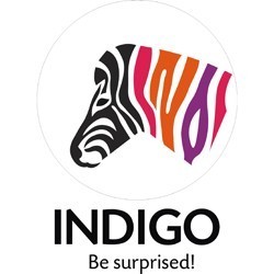 Indigo Logo