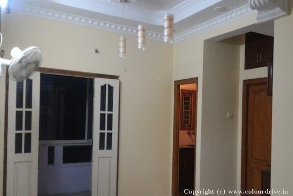 Interior Painting,  Texture Painting, and Home Painting Recent Project at Manikonda Hyderabad