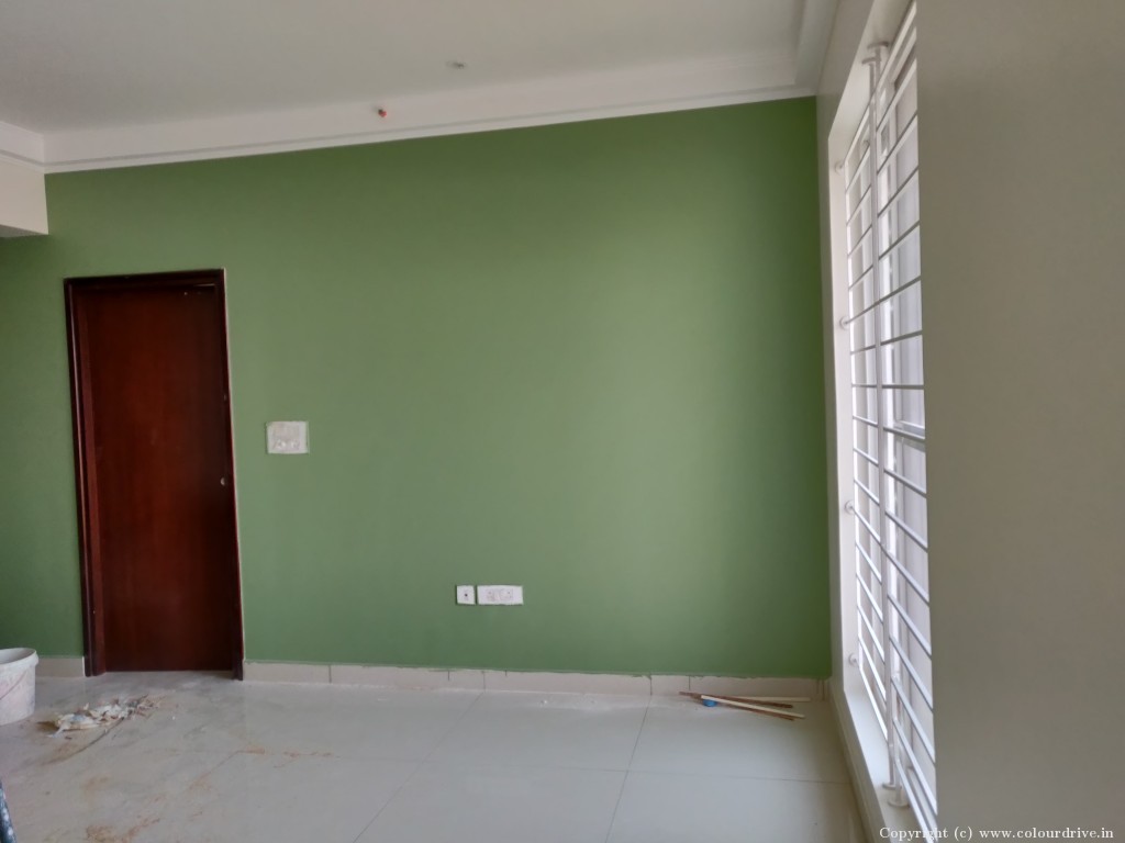 Drawing Room Colour  Interior Painting For 