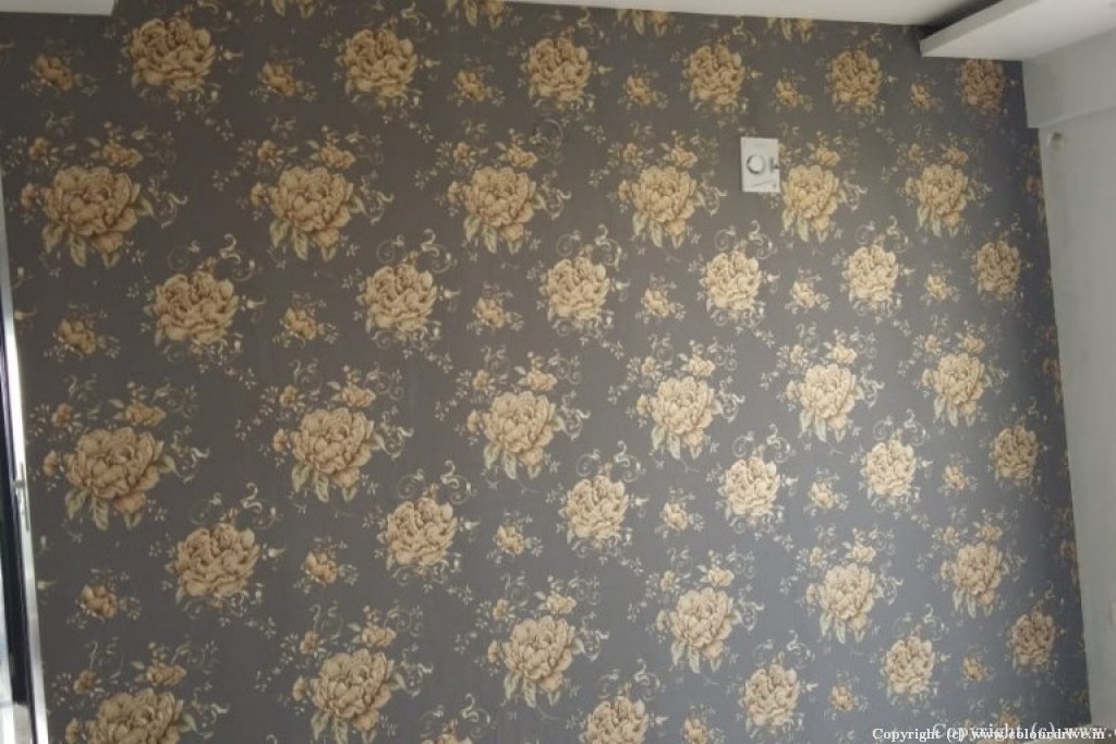 Hd Home Design Wallpaper Single Roses Wallpaper For Living Room