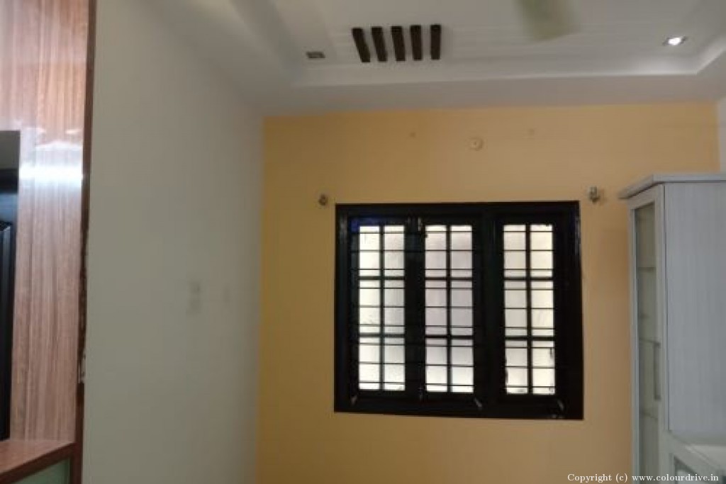 House Wall Colour  Interior Painting For Study Room
