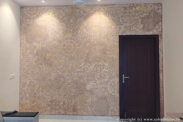 Texture Painting, and Home Painting Recent Project at Chanchalguda, Hyderabad