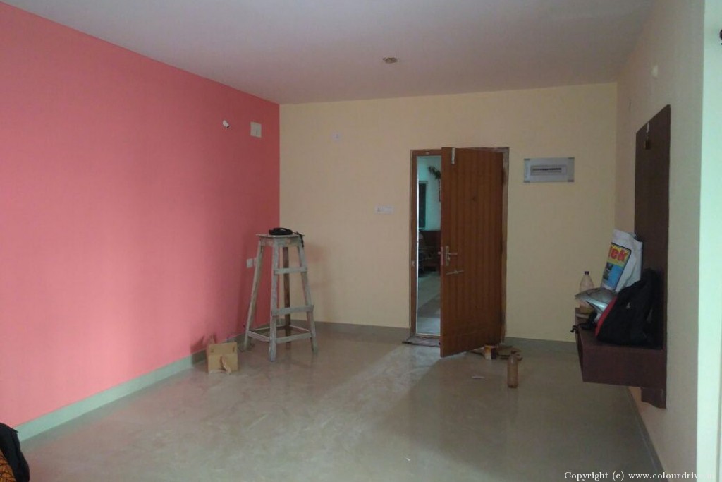 Hall Paint Design  Interior Painting For 