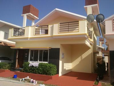 एशियन पेंट्स बाहरी पेंट्स- ऐस बनाम एपेक्स बनाम अल्टिमा बनाम प्रोटेक (Asian Paints Ace/Apex/Ultima/Protek) - ColourDrive Blog