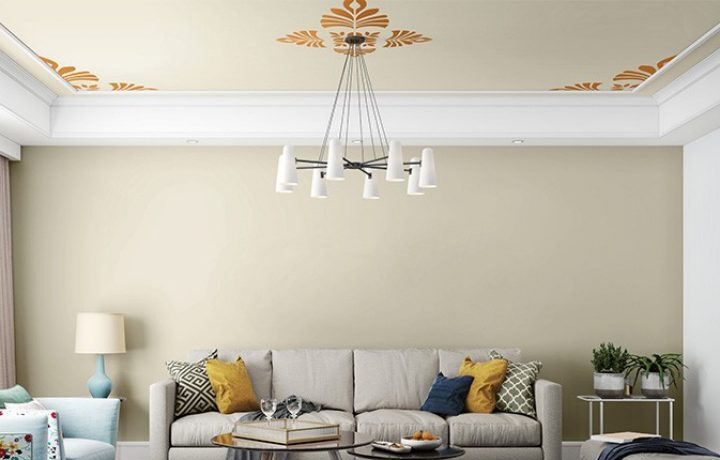 ColourDrive-Royale Luxury Emulsion Ceilings Palazzo wall stencil design painting for Living Room