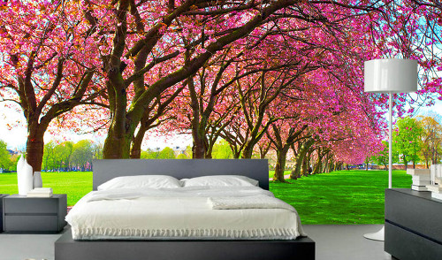 Spring - Nature Wallpaper