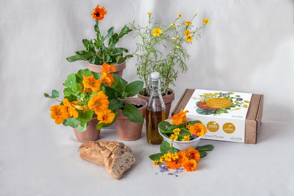 Holi special flowers