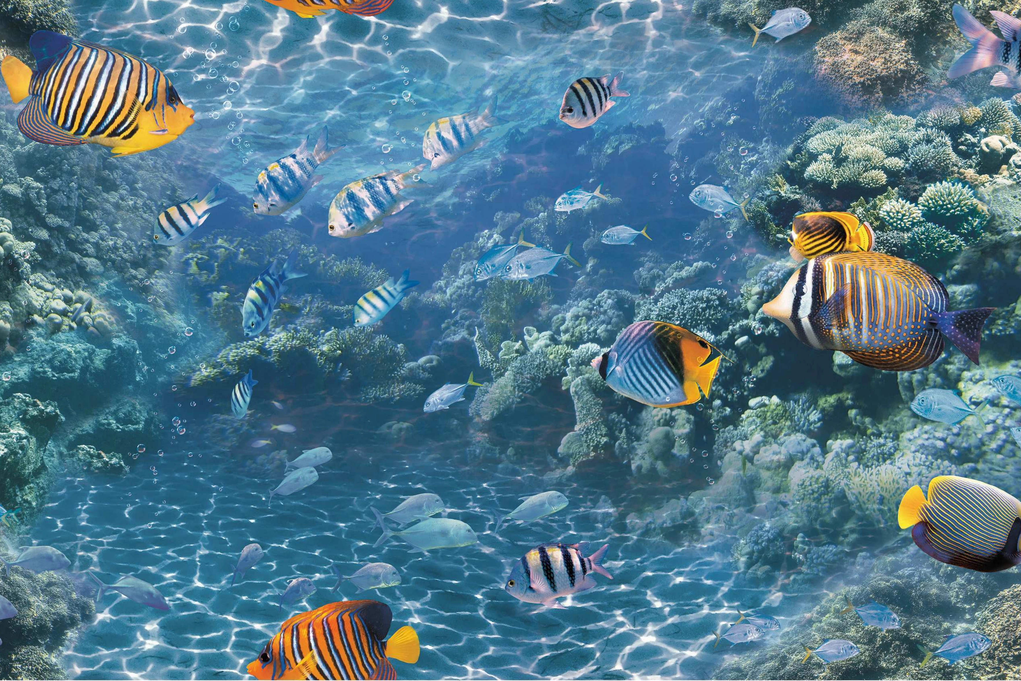 ColourDrive-Korean Wallpaper Nature Wallpaper Maldives 88424 wall houseWallpaper design painting for Study Room,Kids Room