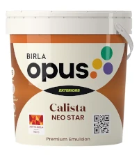Birla Opus Calista Neo Star Shine for Exterior Paint