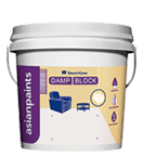 Asian Smartcare Damp Block for Water Proofing