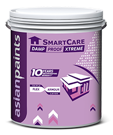 Asian Smartcare Damp Proof Xtreme for Waterproofing