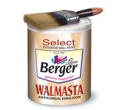 Berger Wallmasta for Exterior Paint
