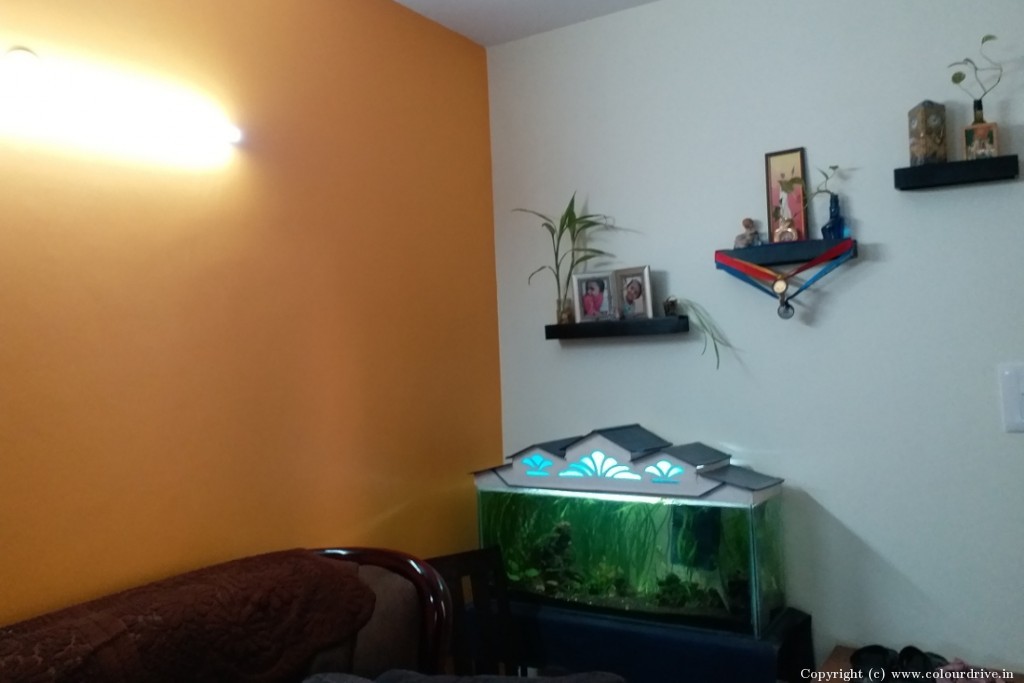 Home Painting Ideas Interior Color Home Painting Ideas Interior Painting for Guest Room