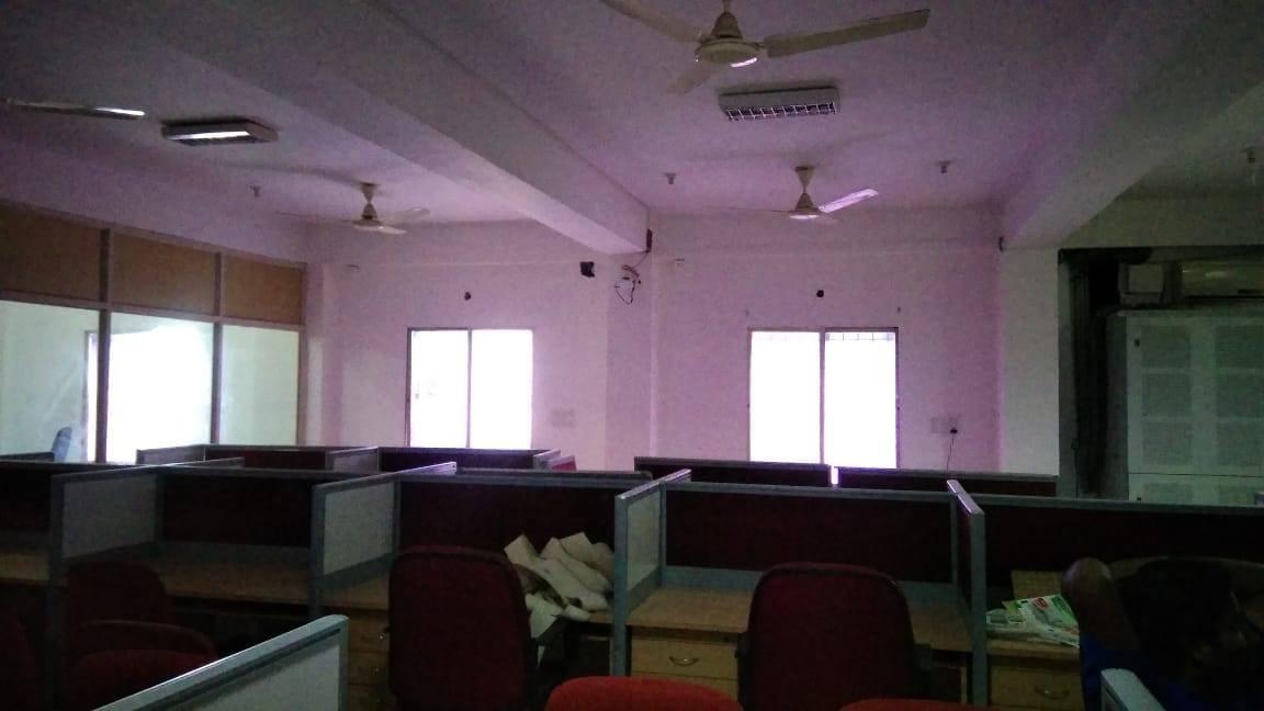 Pattern Painting  Commercial Painting for 