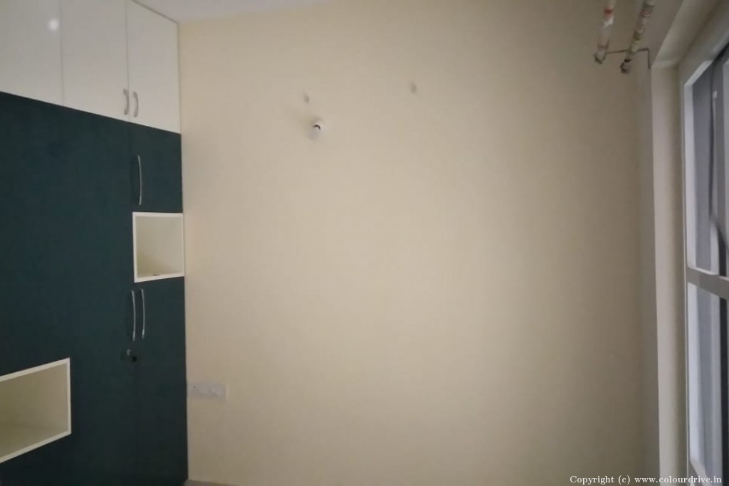 Painting Design  Rental Painting for 