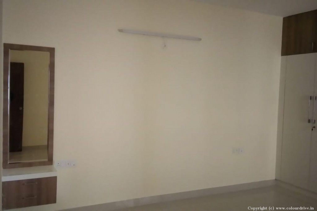 Room Colour Design  Rental Painting for 