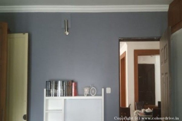 Interior Painting, and Home Painting Recent Project at Whitefield road , Kondapur Hyderabad