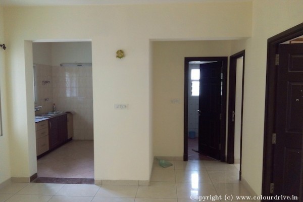 Interior Painting, Rental Painting, and Home Painting Recent Project at HSR Layout Bangalore