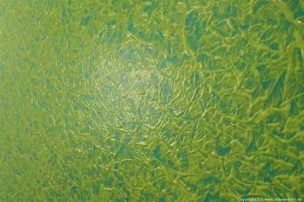 Wall Colour Texture Design Dapple Texture Painting for Living Room