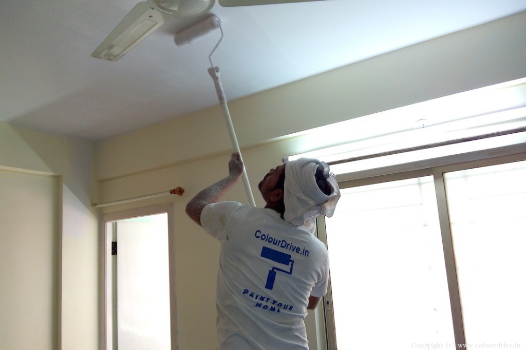 Home Wall Colour Home Wall Colour Rental Painting for 