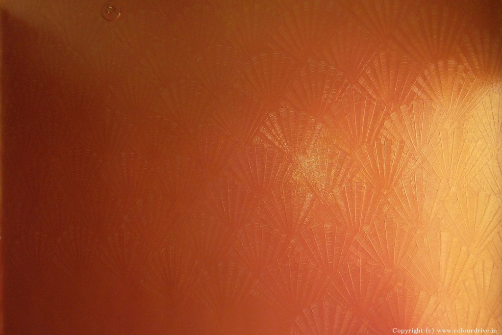 Wall Texture Designs For Living Room India Seashell Paint Design Texture Painting for 