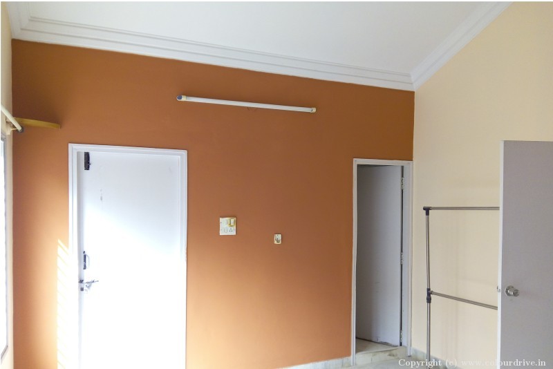 Asian Paints Interior Colour Brown Colour Wall Paint Interior Painting for Living Room
