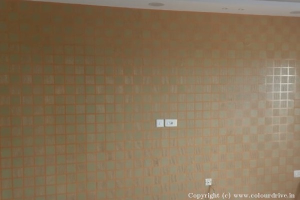 Texture Painting, and Home Painting Recent Project at Electronic City Bangalore