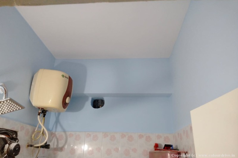 Wall Colour House Wall Painting Interior Painting for Bathroom