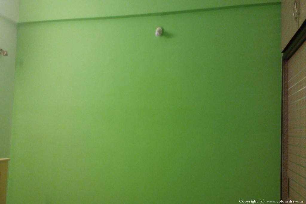 Asian Paints Royale Interior Shade Card Plain Green Wall Interior Painting for Living Room