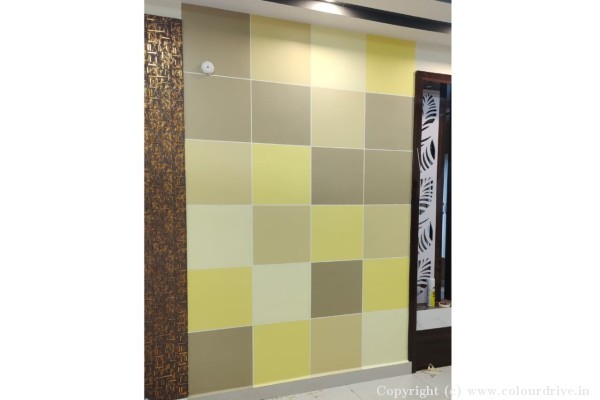 Texture Painting, and Home Painting Recent Project at Ramachandrapuram Hyderabad