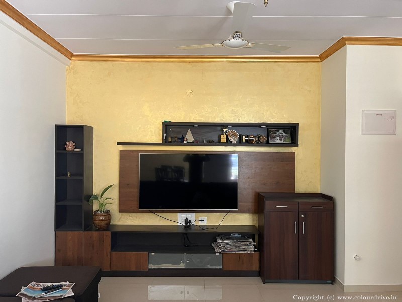 Design Painting Colourwash Design Wall Texture Painting for Living Room