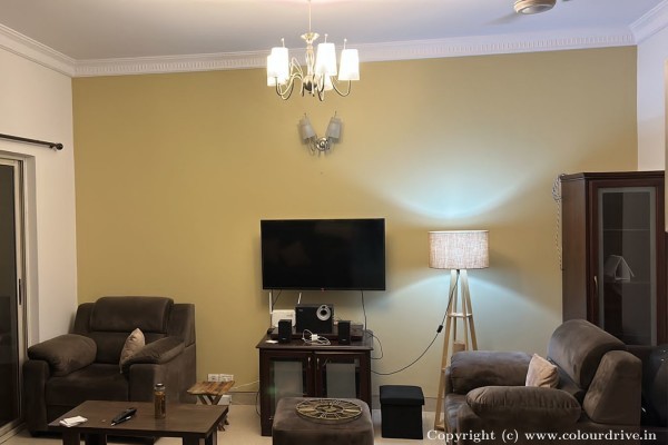 Enamel Painting, Interior Painting, Wood Polish, and Home Painting Recent Project at JP Nagar 4th Phase Bangalore