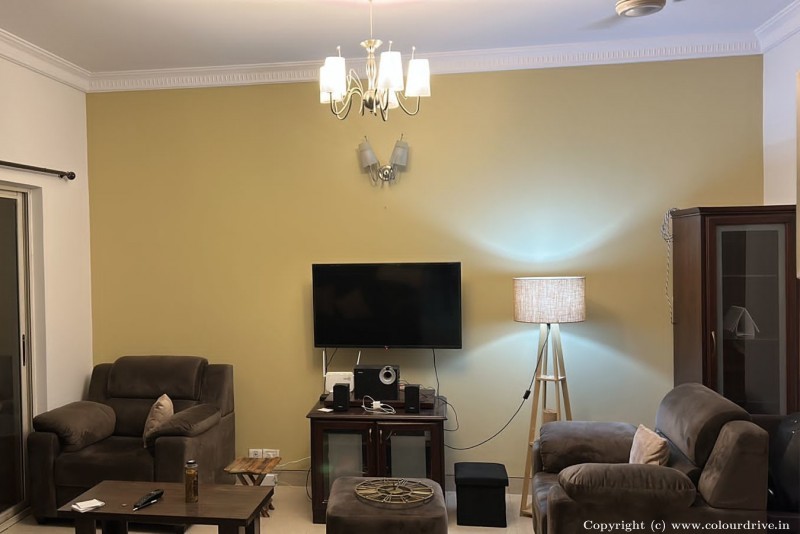 Wall Design  Colour Combinaton For Walls Interior Painting for Living Room