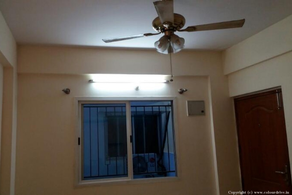 Wall Colour Design  Rental Painting for 