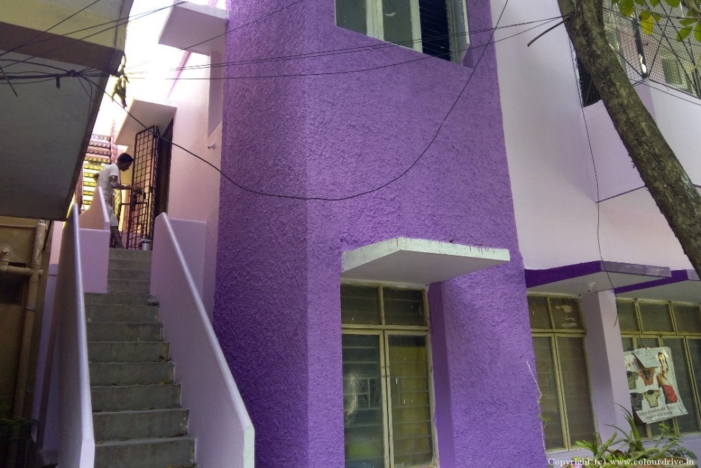 Exterior White Paint Contrast Ideas For House Texture Exterior Design Exterior Painting for Exterior Left