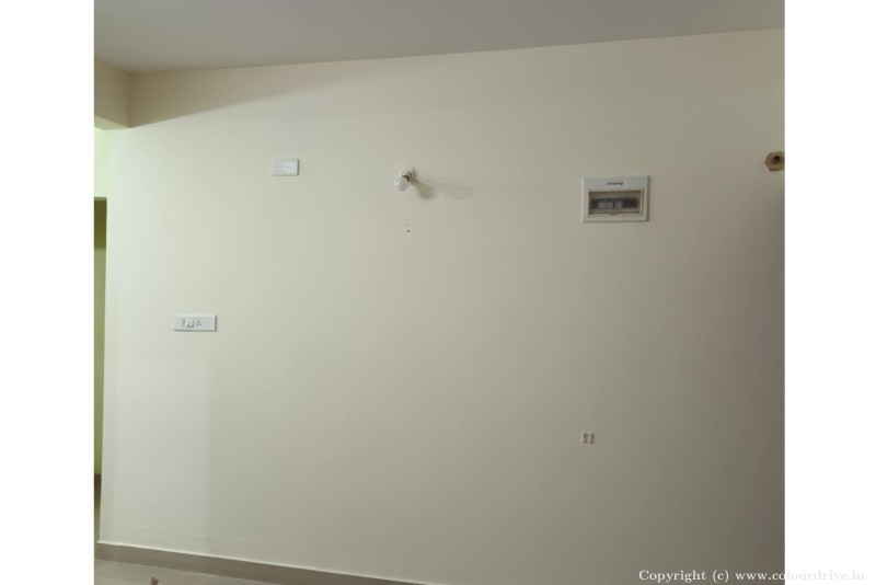 Wall Painting Designs For Hall Ideas For Wall Painting  Interior Painting for Living Room