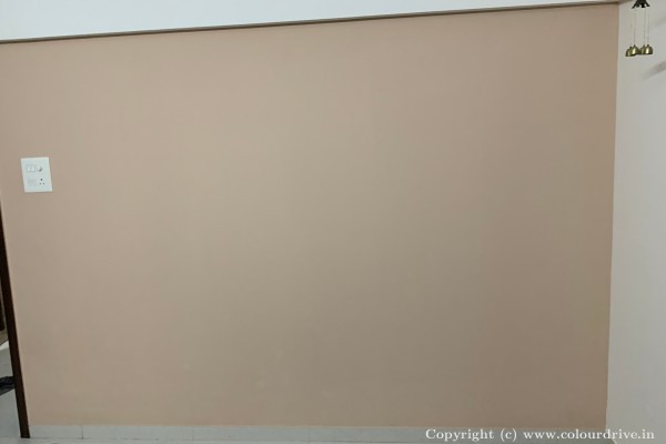 Interior Painting, and Home Painting Recent Project at Baner Pune