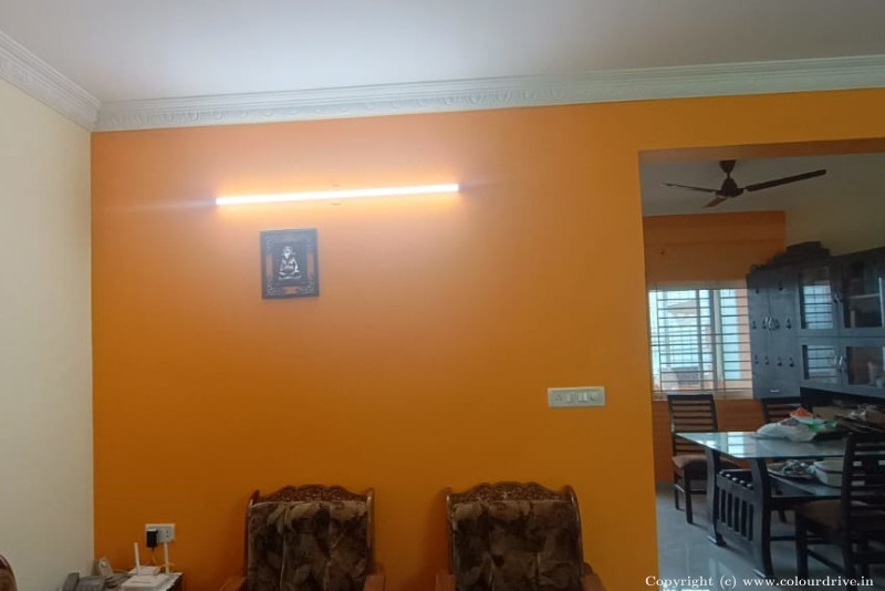 House Front Wall Design Wall Colour Ideas In Orange Interior Painting for Living Room