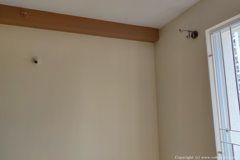 Simple Wall Design Cream And Brown Colour Combo Rental Painting for Living Room