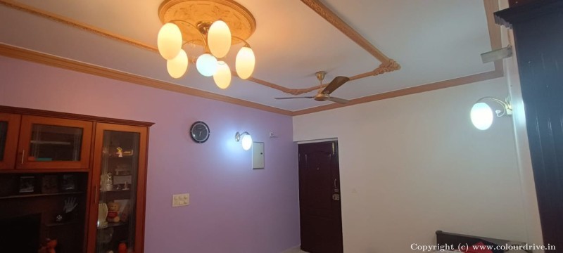 Asian Paints Wall Design Two Colour Combination For Entrance Interior Painting for Living Room