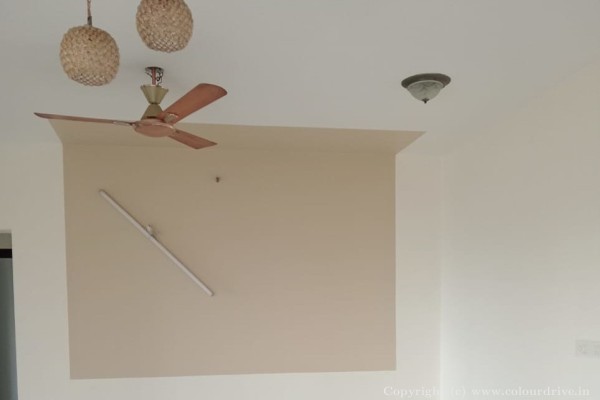 Interior Painting, and Home Painting Recent Project at Kannamangala Bangalore