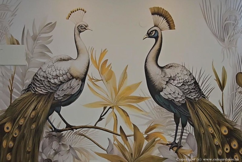 Living Room Wallpaper Ideas Peacock Wallpaper House Wallpaper for Living Room