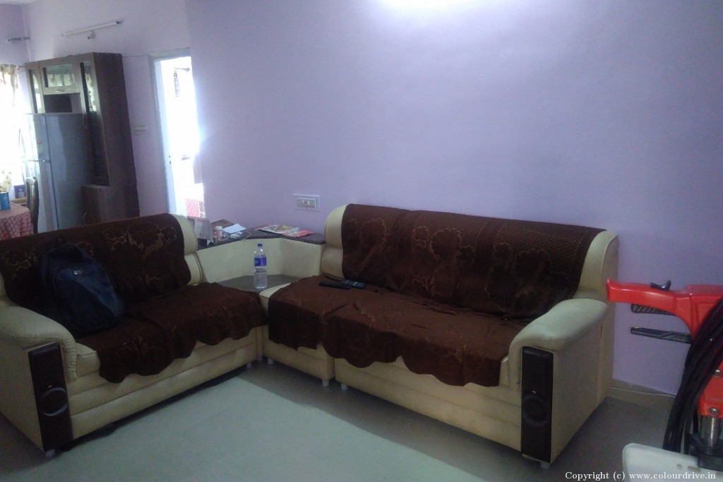 Room Colour Design  Rental Painting for 