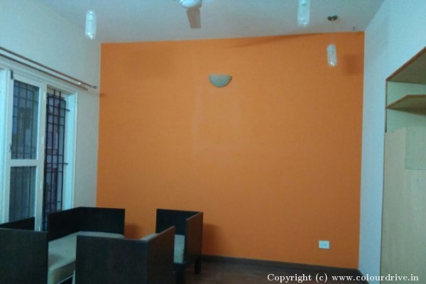 Interior Painting, and Home Painting Recent Project at Domlur, HAL Old Airport Road Bangalore