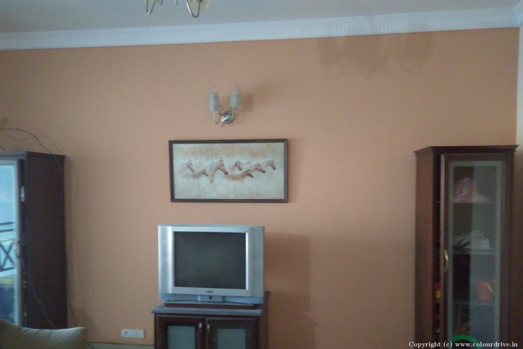 Interior Painting Designs For Home  Interior Painting for 