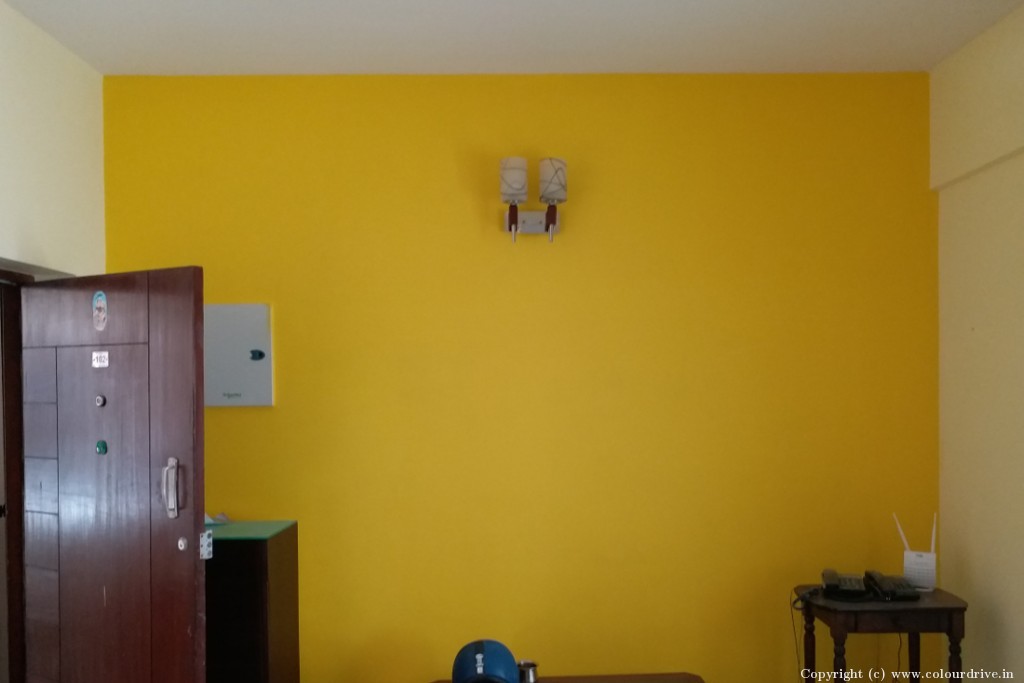 Room Paint Design  Rental Painting for 