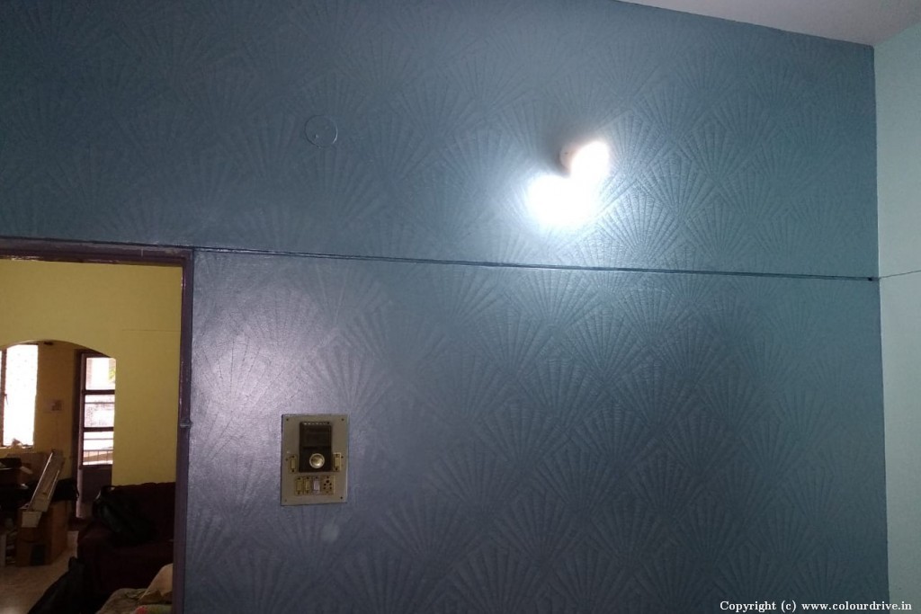 Images Of Asian Paints Textured Wall Designs Seashell Texture Painting for 